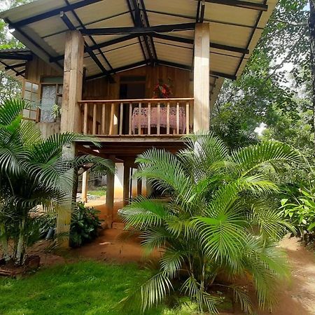Ruk Sewana Villa Tree House Sigiriya Exterior foto