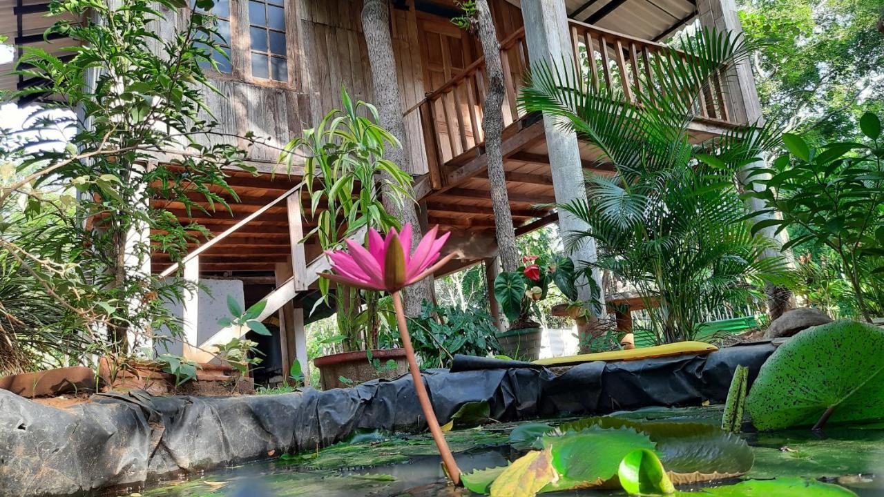 Ruk Sewana Villa Tree House Sigiriya Exterior foto