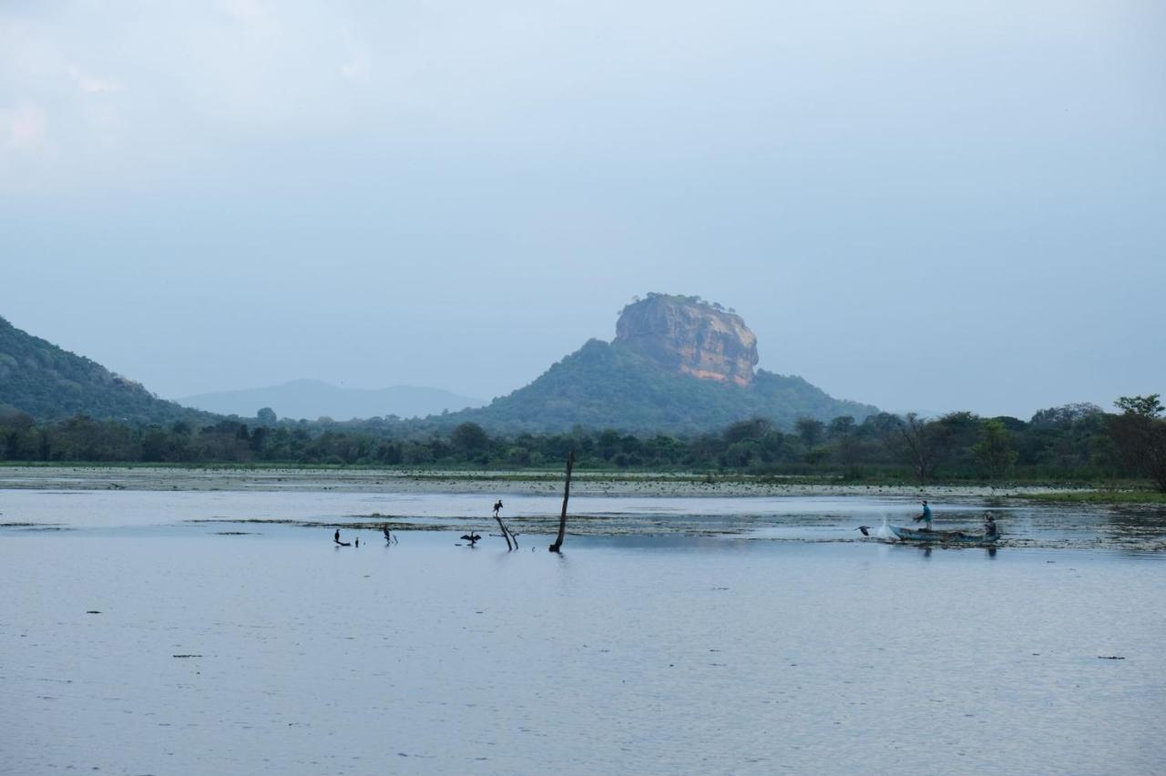 Ruk Sewana Villa Tree House Sigiriya Exterior foto